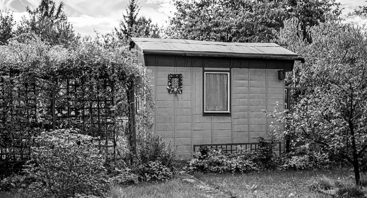 A serene monochrome garden scene featuring a solitary shed surrounded by greenery.